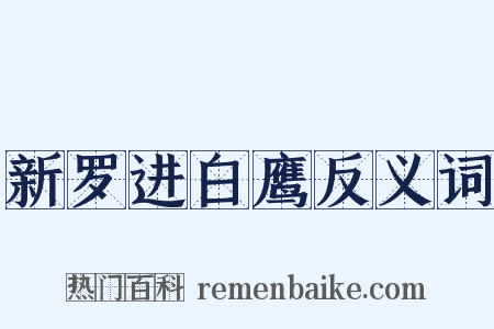 新罗进白鹰反义词是什么意思的图片
